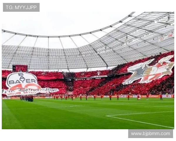 拜耳勒沃库森足球俱乐部的历史传承与未来发展战略探讨 拜耳勒沃库森足球俱乐部的历史传承与未来发展战略探讨