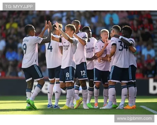 富勒姆足球俱乐部历史回顾与未来发展展望