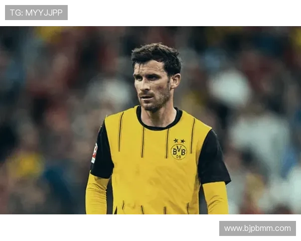 从草根到德甲劲旅霍芬海姆1899俱乐部崛起之路与未来发展解析