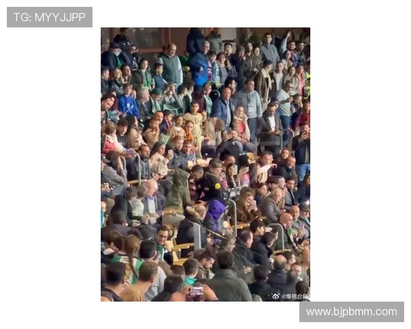 里尔俱乐部最新动态引发全球球迷持续强烈关注并掀起广泛讨论热潮