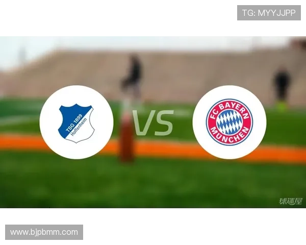 霍芬海姆1899俱乐部最新动态：新赛季备战进展与球员阵容调整解析